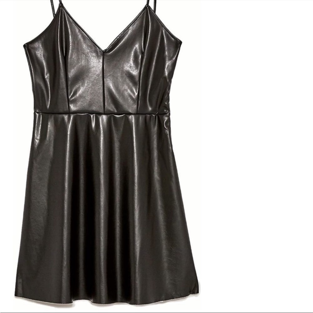 Zara Leather Skater Dress